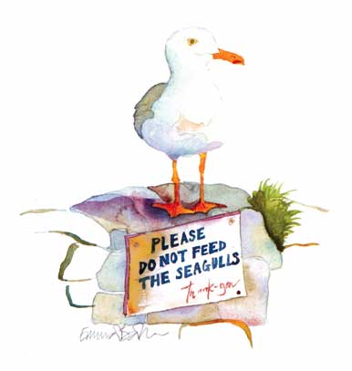 Do Not Feed The Birds II Limited Edition Print-0