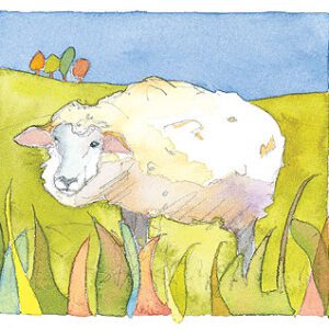 Sheep Limited Edition Print-0