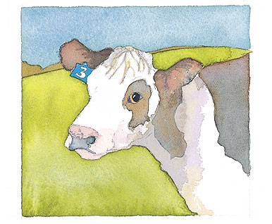 Cow Limited Edition Print-0