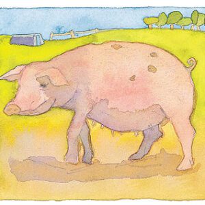 Pig Limited Edition Print-0