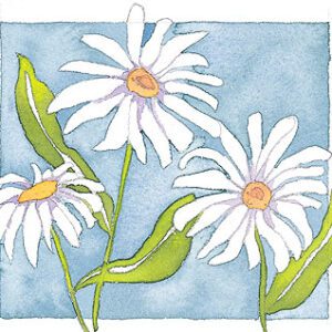 White Daisies Limited Edition Print-0