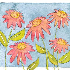 Pink Daisies Limited Edition Print-0