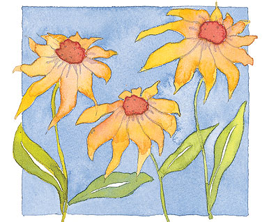 Yellow Daisies Limited Edition Print-0