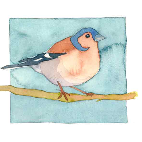 Chaffinch Limited Edition Print-0