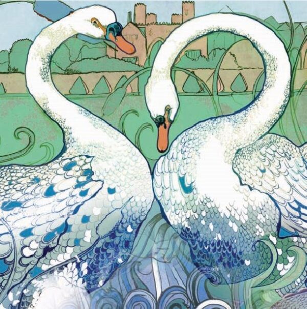 A Beautiful Swan Greetings Card-0