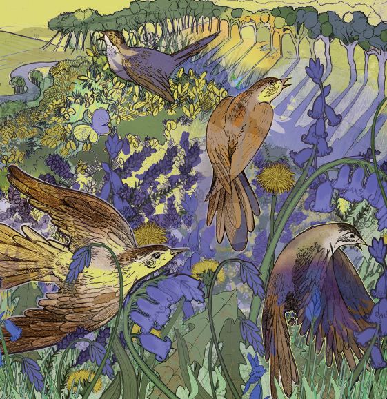 Bluebells and Birdsong Greetings Card-0