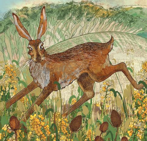 Teasel Hare Greetings Card-0