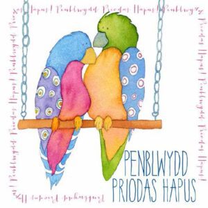 Welsh Happy Anniversary - (Penblwydd Priodas Hapus) - Greetings Card-0
