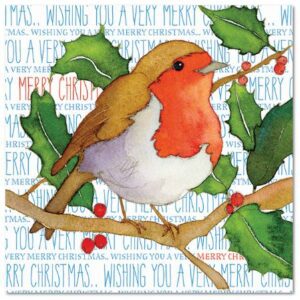 Robin, pack of 6 Christmas cards-0