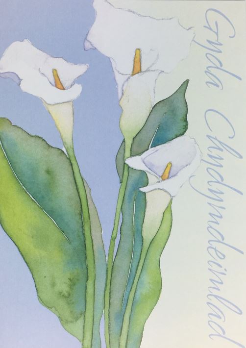 Welsh Lillies Sympathy Card - (Gyda Chydymdeimlad) -0