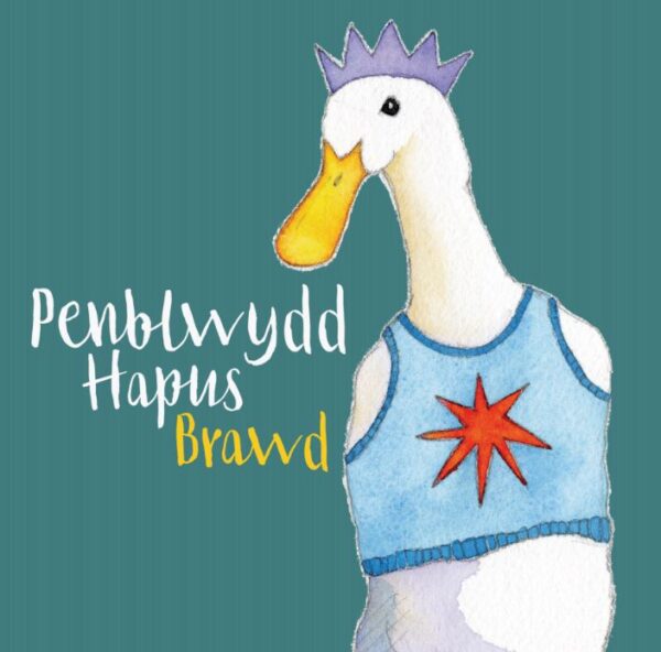 Welsh Birthday Brother - (Penblwydd Hapus Brawd) Greetings Card-0