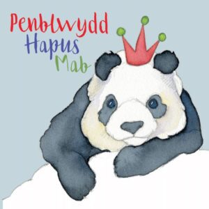 Welsh Birthday Son - (Penblwydd Hapus Mab) Greetings Card-0