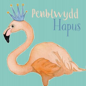 Welsh Birthday Flamingo - (Penblwydd Hapus) Greetings Cards-0