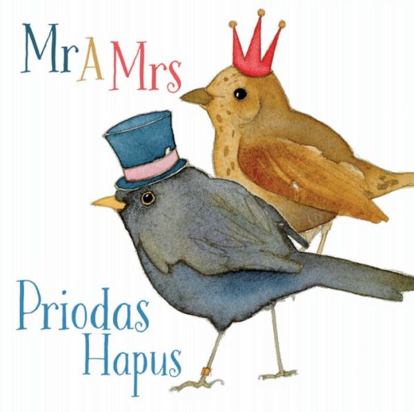Welsh Wedding birdies - (Priodas Hapus) Greetings Cards-0