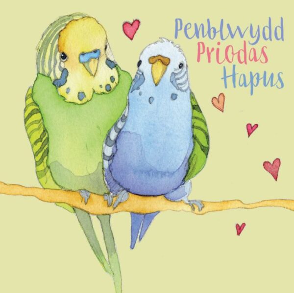 Welsh Anniversary Budgies - (Penblwydd Priodas Hapus) Greetings Cards-0