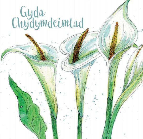 Welsh Calla Lillies - (Gyda Chydymdeimlad) - Caroline Cleave Greetings Card-0