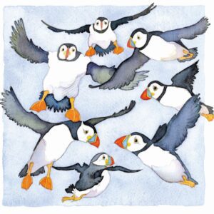 Lots of Puffins Magnet-0