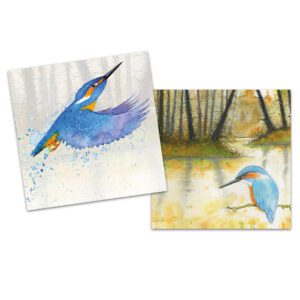 Kingfishers Mini Card Pack of 10-0